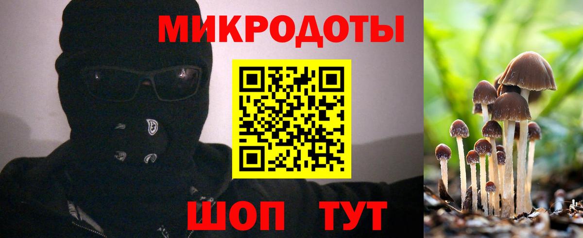 Ипатово  Галлюциногенные грибы Psilocybine cubensis  Вход с VPN 